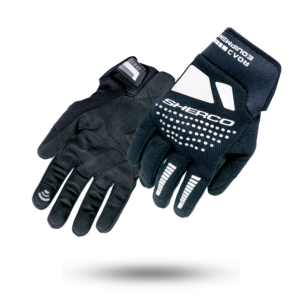 RG250900 GANTS ROAD.png